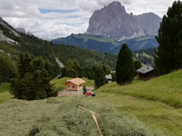 raccolta del fieno